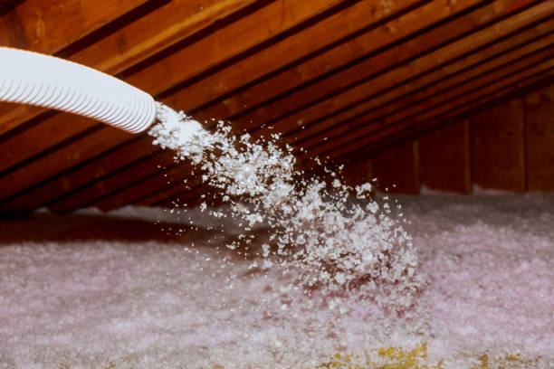 Best Garage Insulation Installation  in Pahokee, FL