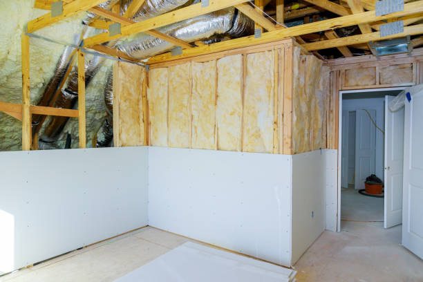 Best Local Insulation Services  in Pahokee, FL