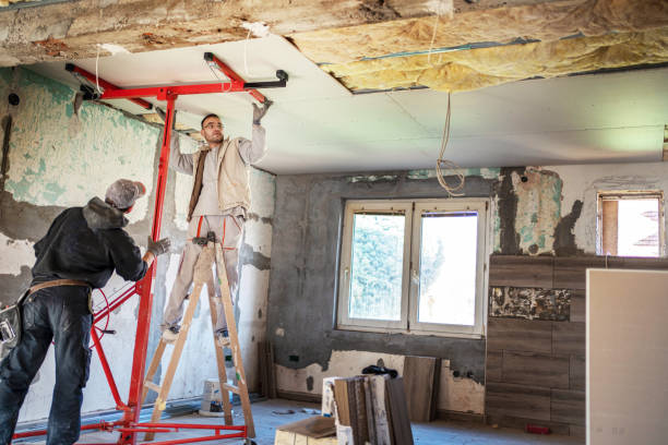 Best Insulation Removal  in Pahokee, FL