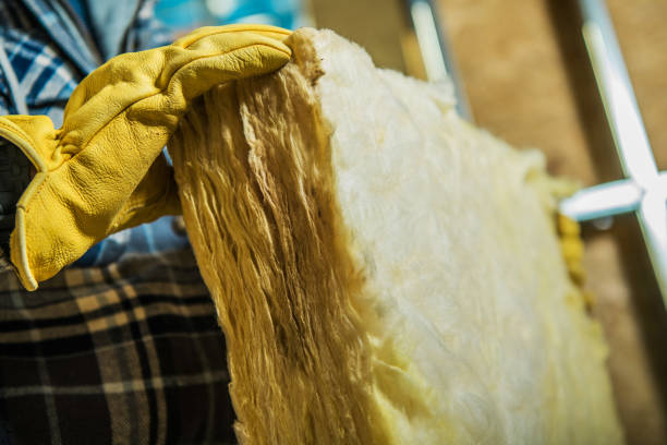 Insulation Replacement Services in Pahokee, FL