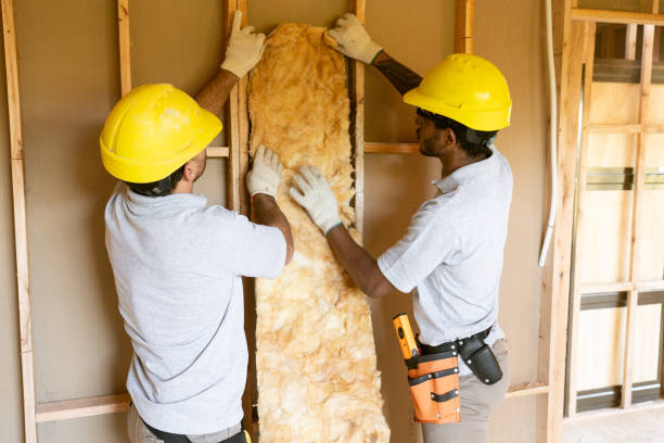 Best Residential Insulation Services  in Pahokee, FL