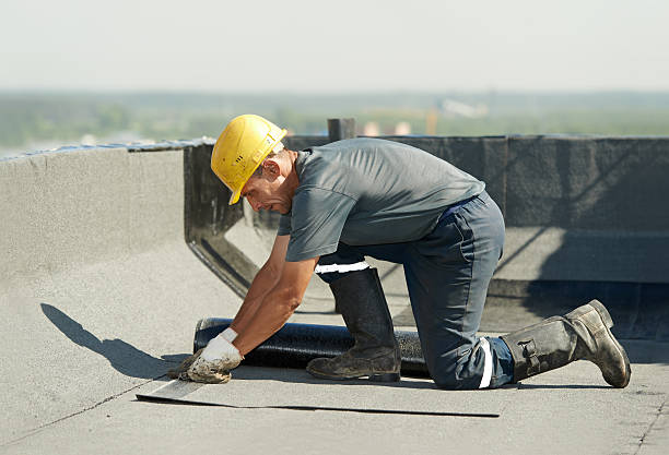 Best Attic Insulation Installation  in Pahokee, FL