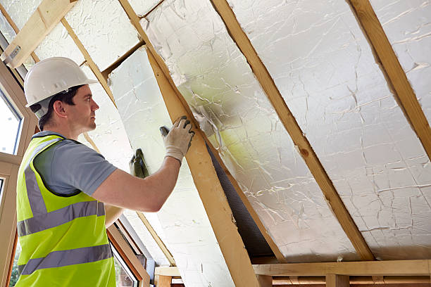 Best Insulation Inspection Services  in Pahokee, FL