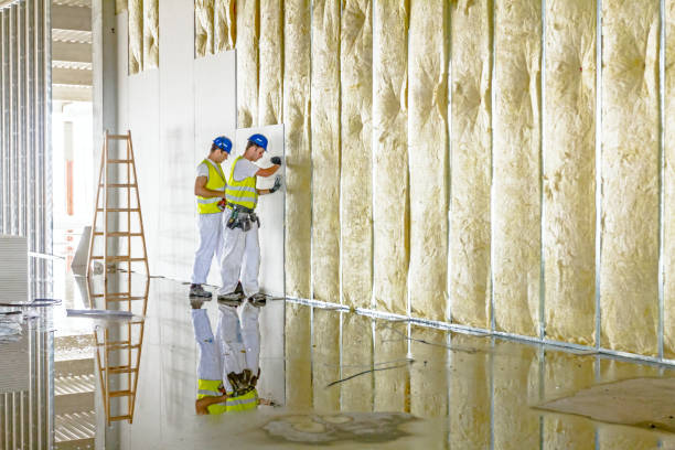 Best Spray Foam Insulation  in Pahokee, FL